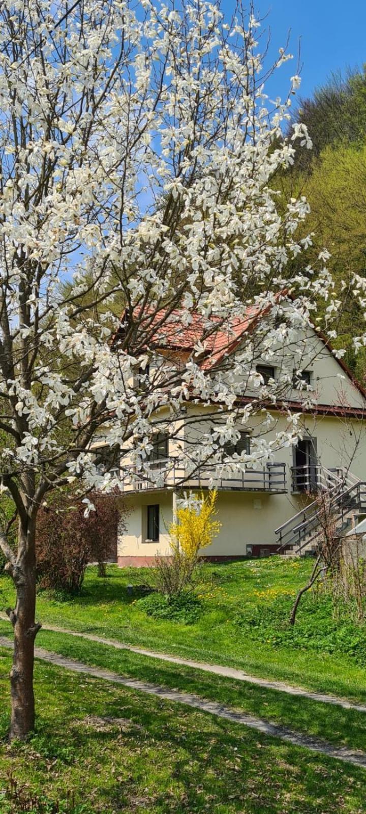 Dom Pod Sokolica Hotel Bedkowice  Exterior photo